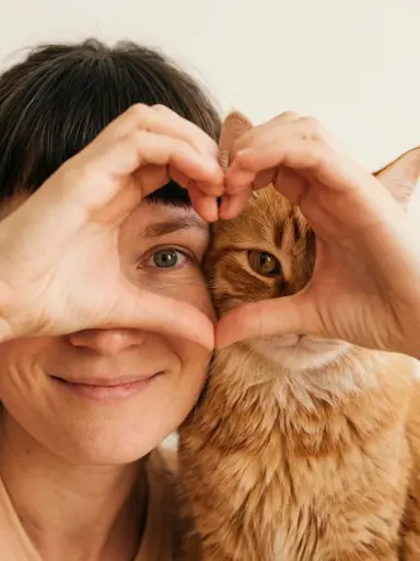 Сердечко из рук с котом